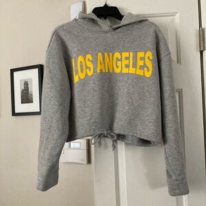 Zara Los Angeles hooded cropped pullover